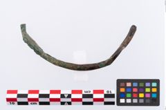 Foto von Bronzescheibenarmreif (NHMW-PRAE-002335)